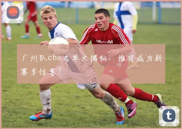 广州队cba名单大揭秘，谁将成为新赛季惊喜？