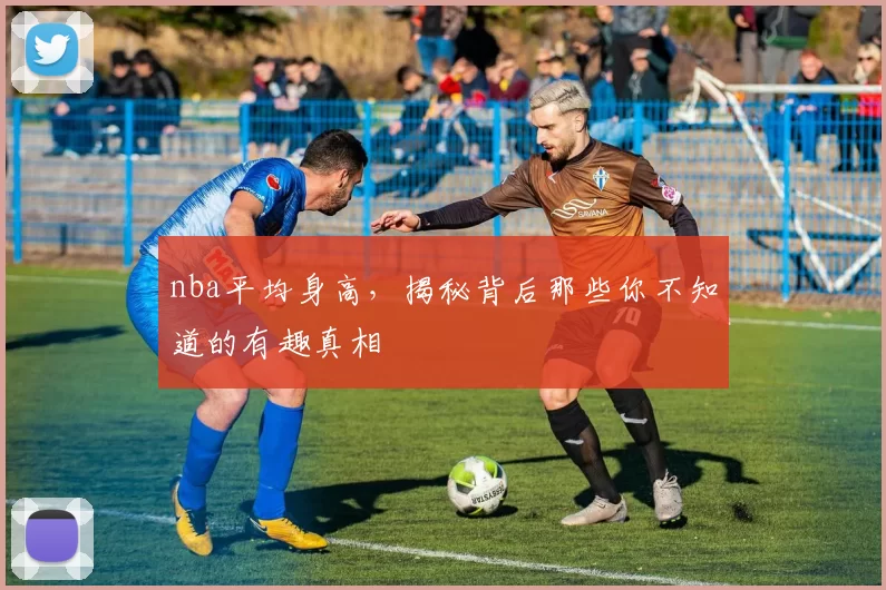 nba平均身高，揭秘背后那些你不知道的有趣真相